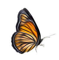 Painted butterfly